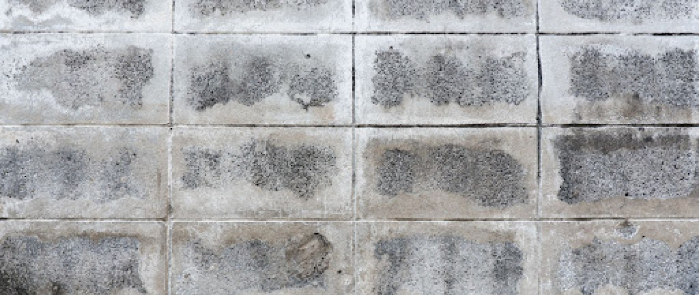 Professional installing outdoor floor tiles using VURA tile adhesive in suitable weather conditions.